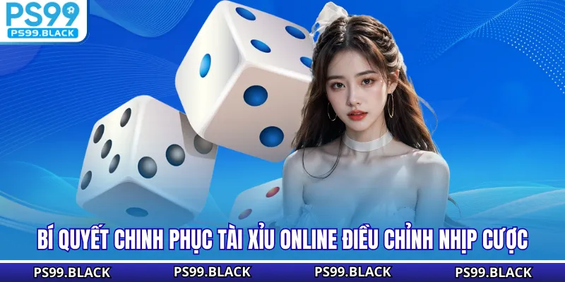 Bí quyết chinh phục tài xỉu online điều chỉnh nhịp cược